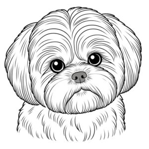 Children’s Cute Shih Tzu Puppy Coloring Page