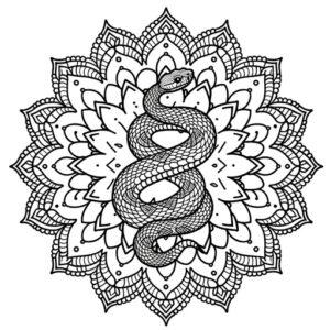 Coloring Pages for Adults