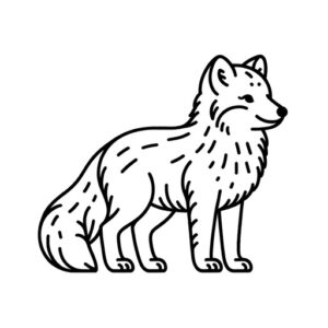 Coloring Pages for Adults