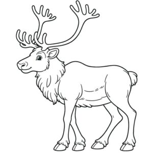Coloring Pages for Adults